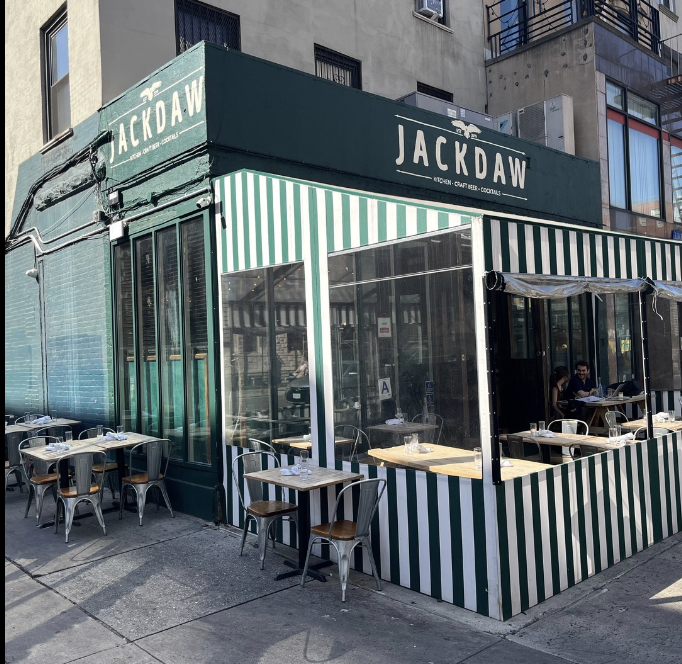 Jackdaw New York